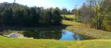 1253 White Rd - Photo 7