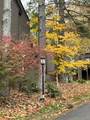 101 Holly Forest - Photo 1