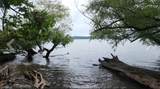 0 Bear Creek Lot 53  Rd - Photo 2