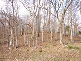 0 Dry Hollow Road - Photo 1