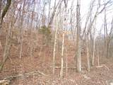 0 Dry Hollow Road - Photo 4