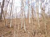 0 Dry Hollow Road - Photo 8