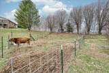 1802 Jamestown Hwy - Photo 14