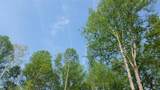 7454 Sugar Camp Hollow Rd - Photo 27