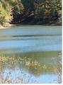 2608 Ute Ct - Photo 7