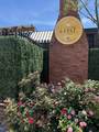1125 10th Ave - Photo 41