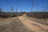 0 Cooley Ford Rd - Photo 13