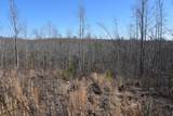 0 Cooley Ford Rd - Photo 16