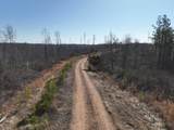 0 Cooley Ford Rd - Photo 6