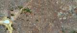 0 Horseshoe Hollow Rd - Photo 17