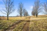 5988 Buzzard Creek Rd - Photo 8