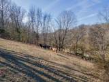 2031 Simmons Ridge Rd - Photo 94