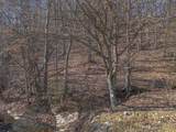 2031 Simmons Ridge Rd - Photo 43