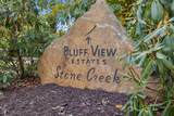 1158 Bluff View Dr - Photo 59