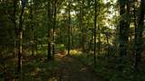 0 Swindell Hollow Rd - Photo 5