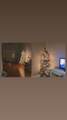 2290 Jack Teasley Rd - Photo 41