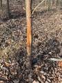 417 Sugar Tree School Rd - Photo 3