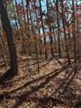 417 Sugar Tree School Rd - Photo 9