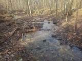 1661 Sassafras  Stand Ridge Rd - Photo 4