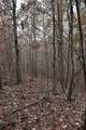 1661 Sassafras  Stand Ridge Rd - Photo 32