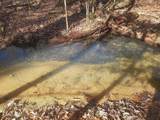 1661 Sassafras  Stand Ridge Rd - Photo 5