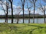 515 Basswood Ave - Photo 15