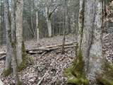 0 Cook Ln - Photo 17
