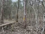 0 Cook Ln - Photo 6