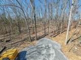 915 Bluff Rd - Photo 52