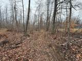 0 Paul Harrell Rd - Photo 2