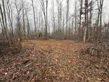 0 Paul Harrell Rd - Photo 3