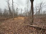0 Paul Harrell Rd - Photo 4