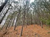 0 Hohenwald Hwy - Photo 52