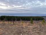 0 Hohenwald Hwy - Photo 89