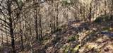 0 Center Hill Shores Dr - Photo 4