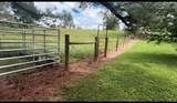3860 Rhea Branch Rd - Photo 11