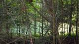 1142 Poss Rd - Photo 10
