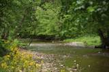 4801 Highway 48 - Photo 4