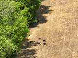 4801 Highway 48 - Photo 39