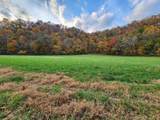 0 Pine Lick Rd - Photo 1