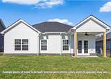 2594 Rafiki Dr - Photo 29