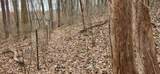 5849 Catholic Church Rd - Photo 32