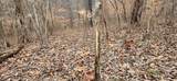 5849 Catholic Church Rd - Photo 46