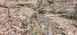 5849 Catholic Church Rd - Photo 52