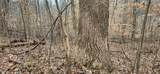 5849 Catholic Church Rd - Photo 56