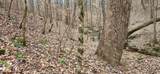 5849 Catholic Church Rd - Photo 58