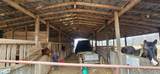 5849 Catholic Church Rd - Photo 74