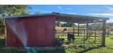 5849 Catholic Church Rd - Photo 79