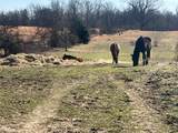 5849 Catholic Church Rd - Photo 82