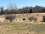 5849 Catholic Church Rd - Photo 83